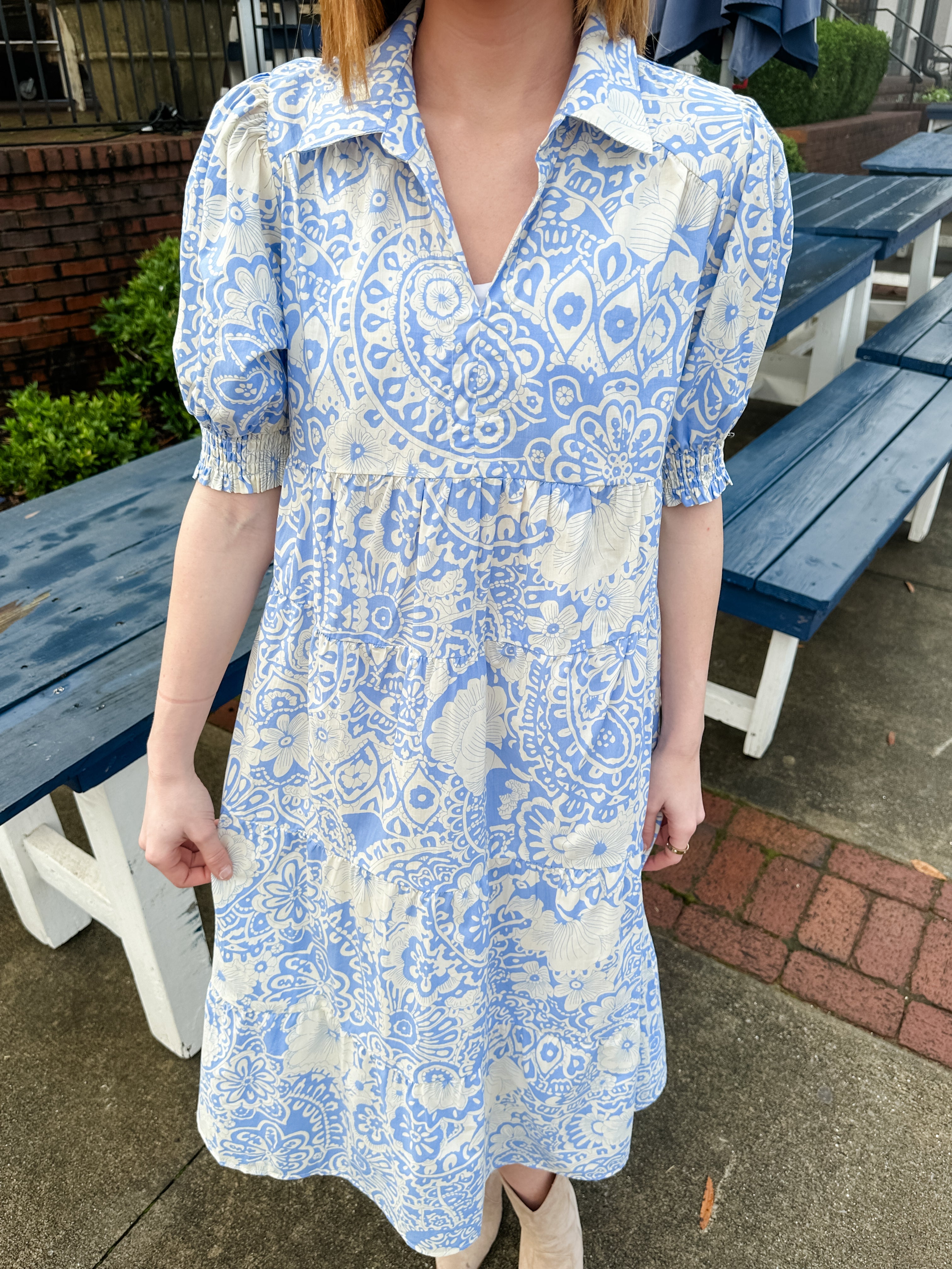 V-Neck Printed Midi Dress