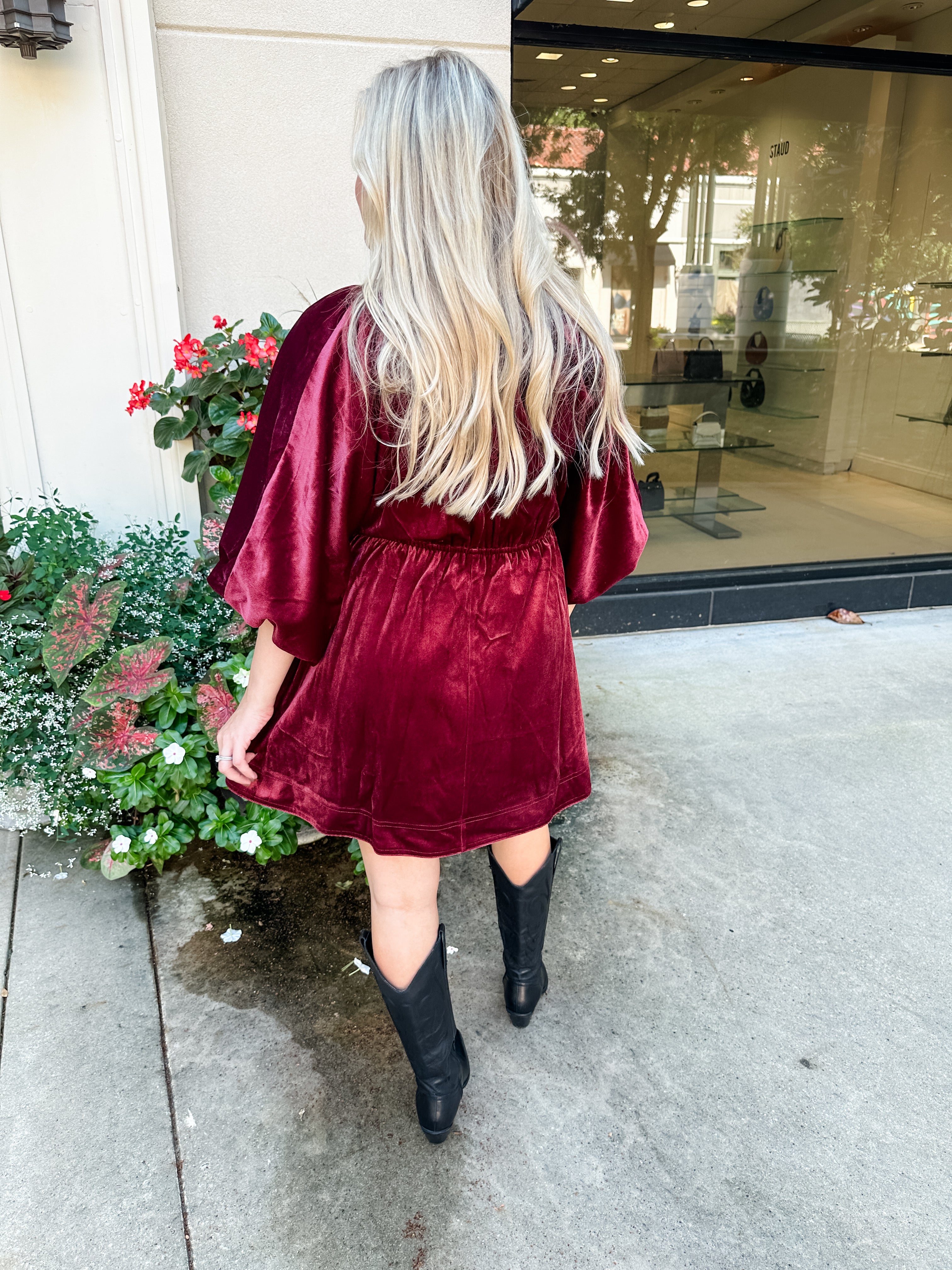 V-Neck Velvet Dress